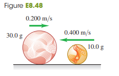 A 10.0-g marble slides to the left at a speed of 0.400 m>s on the frictionless, horizontal surface of an icy New York sidewalk and has a head-on, elastic collision with a larger 30.0-g marble sliding to the right at a speed of 0.200 m/s (Fig. E8.48).
(a) Find the velocity of each marble (magnitude and direction) after the collision. (Since the collision is head-on, all motion is along a line.)
(b) Calculate the change in momentum (the momentum after the collision minus the momentum before the collision) for each marble. Compare your values for each marble.
(c) Calculate the change in kinetic energy (the kinetic energy after the collision minus the kinetic energy before the collision) for each marble. Compare your values for each marble.
Fig. E8.48: