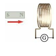 A bar magnet approaches a coil as shown.
(a) In which direction does current flow through the galvanometer as the magnet approaches?
(b) How does the magnitude of the current depend on the number of turns in the coil? (The resistance of the coil is negligible compared with the resistance of the galvanometer.)
(c) How does the current depend on the speed of the magnet?
(d) Would the experiment give similar results if the magnet remains stationary and the coil moves to the left instead? Explain.