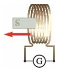 A bar magnet is initially at rest inside a coil as shown. The magnet is then pulled out from the left side.
(a) In which direction does current flow through the galvanometer as the magnet is pulled away?
(b) How would the magnitude of the current change if two such magnets were used, held side by side with the north poles together and the south poles together?
(c) How would the magnitude of the current change if the two magnets were held side by side with opposite poles together instead?