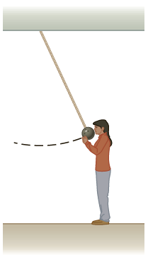 A bowling ball is suspended from the ceiling of a lecture hall by a strong cord. The ball is drawn away from its equilibrium position and released from rest at the tip of the demonstrator’s nose, as shown in Figure CQ5.6.(a) If the demonstrator remains stationary, explain why the ball does not strike her on its return swing.(b) Would this demonstrator be safe if the ball were given a push from its starting position at her nose?Figure CQ 5.6: