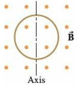 A circular conducting loop with radius 3.40 cm is placed in a uniform magnetic field of 0.880 T with the plane of the loop perpendicular to the magnetic field, as shown. The loop is rotated 180° about the axis in 0.222 s.
(a) As the loop begins to rotate, does the induced current flow clockwise or counterclockwise?
(b) What is the average induced emf in the loop during this rotation?