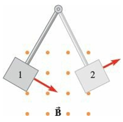 A metal plate is attached to the end of a rod and positioned so that it can swing into and out of a perpendicular magnetic field pointing out of the plane of the paper as shown. In position 1, the plate is just swinging into the field; in position 2, the plate is swinging out of the field. Does an induced eddy current circulate clockwise or counterclockwise in the metal plate when it is in
(a) position 1 and
(b) position 2?
(c) Will the induced eddy currents act as a braking force to stop the pendulum motion? Explain.