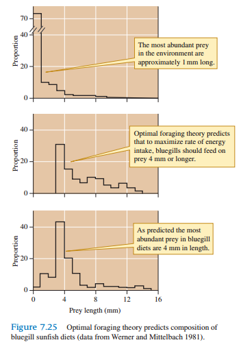 Do patterns of feeding by bluegills (see fig. 7.25) include any evidence that these consumers ignore certain potential prey?
Figure 7.25: