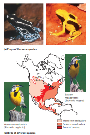 Does this figure illustrate a strength or a drawback of using morphological traits to establish species?
From Figure 29.1: