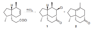 During a recent synthesis of hispidospermidin, a fungal isolate and an inhibitor of phospholipase C, the investigators employed a novel, aliphatic Friedel–Crafts acylation. The following acid chloride was treated with a Lewis acid, affording two products in a 3:2 ratio. Propose a plausible mechanism for the formation of compounds 1 and 2.