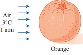 During air cooling of oranges, grapefruit, and tangelos, the heat transfer coefficient for combined convection, radiation, and evaporation for air velocities of 0.11 < V < 0.33 m/s is determined experimentally and is expressed as h = 5.05 kair Re1/3/D, where the diameter D is the characteristic length. Oranges are cooled by refrigerated air at 3°C and 1 atm at a velocity of 0.3 m/s. Determine (a) the initial rate of heat transfer from a 7-cm-diameter orange initially at 15°C with a thermal conductivity of 0.7 W/m⋅K, (b) the value of the initial temperature gradient inside the orange at the surface, and (c) the value of the Nusselt number.