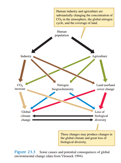 Ecologists predict that global diversity is threatened by land use change and by the reductions in habitat area and the fragmentation that accompany land use change. Vitousek (1994) suggested that land use change may be the greatest current threat to biological diversity (see fig. 23.3). What role do studies of diversity on islands and species area relationships on continents (see chapter 22) play in these predictions?
Figure 23.3: