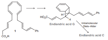 Endiandric acids are a class of natural products isolated from the Australian plant Endiandra introrsa. Natural products containing chiral centers are generally found in nature as a single enantiomeric form (optically active), but the endiandric acids are an exception, as they are isolated as racemates. It has been suggested that they are formed via a series of pericyclic reactions from achiral starting materials, such as 1.
a. The first step in the conversion of compound 1 to endiandric acids is believed to be a thermal electrocyclic reaction to form compound 2, which possesses an eight-membered ring. Draw the structure of compound 2, and explain why it is formed as a racemic mixture.
b. Compound 2 can undergo another electrocyclic reaction, thereby forming the skeletal structure of endiandric acid G. Draw a mechanism for this process.
c. Endiandric acid C is formed from endiandric acid G via an intramolecular Diels–Alder reaction. Draw the structure of endiandric acid C, and show a mechanism for its formation.