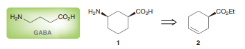 GABA, or gamma (γ)-amino butyric acid, is a neurotransmitter (a chemical that is used to send signals from one neuron to another) of the mammalian central nervous system. In order to understand how GABA works, conformationally restricted analogues, such as compound 1, have been made. During a synthesis of compound 1, compound 2 was subjected to allylic bromination using NBS and a radical initiator (AIBN) instead of light. Draw all eight possible allylic bromides that can be formed when compound 2 undergoes allylic bromination, considering all possible regiochemical and stereochemical outcomes.