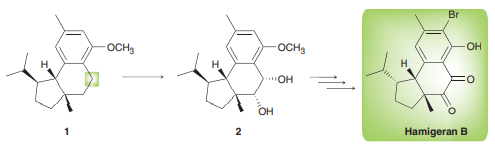 Hamigeran B and several related natural products were isolated from a sponge found off the coast of New Zealand. Hamigeran B has demonstrated strong activity against the viruses that cause polio and herpes. During efforts to synthesize this natural product, compound 1 was converted into compound 2. While there are three benzylic positions in compound 1, the secondary benzylic carbon (highlighted) was found to be preferentially functionalized due to effects that we have not yet discussed. Given this information, propose an efficient synthesis for the conversion of 1 to 2.