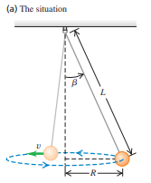 In the conical pendulum of Example 5.20 (Section 5.4), which of the forces do work on the bob while it is swinging?
Example 5.20:
An inventor designs a pendulum clock using a bob with mass m at the end of a thin wire of length L. Instead of swinging back and forth, the bob is to move in a horizontal circle at constant speed v, with the wire making a fixed angle b with the vertical direction (Fig. 5.32a). This is called a conical pendulum because the suspending wire traces out a cone. Find the tension F in the wire and the period T (the time for one revolution of the bob).
Fig. 5.32a: