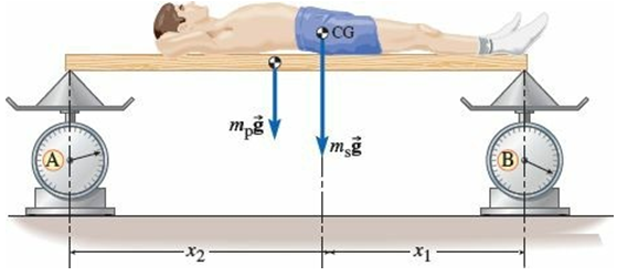 One way to determine the location of your center of gravity is shown in the diagram. A 2.2 m long uniform plank is supported by two bathroom scales, one at either end. Initially the scales each read 100.0 N. A 1.60 m tall student then lies on top of the plank, with the soles of his feet directly above scale B. Now scale A reads 394.0 N and scale B reads 541.0 N.
(a) What is the student's weight?
(b) How far is his center of gravity from the soles of his feet?
(c) When standing, how far above the floor is his center of gravity, expressed as a fraction of his height?
