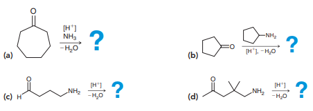 Predict the major product for each of the following reactions: