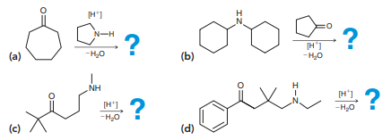 Predict the major product for each of the following reactions: