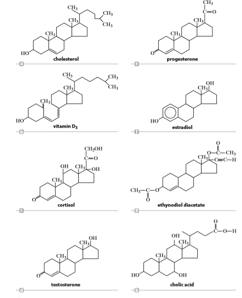 Referring to Fig. 21.25, what is a common characteristic among the structures of steroids?
From figure 21.25: