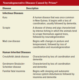 Some people have a genetic predisposition for developing prion diseases. Examples are described in Table 25.6. In the case of Gerstmann-Straüssler-Scheinker disease, the age of onset is typically 30–50 years, and the duration of the disease (which leads to death) is about 5 years. Suggest a possible explanation why someone can live for a relatively long time without symptoms and then succumb to the disease in a relatively short time.
From Table 25.6: