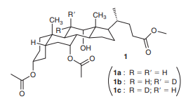 Steroids and their derivatives are among the most widely used therapeutic agents. They are used in birth control, hormone replacement therapy, and in the treatment of inflammatory conditions and cancer. New steroid derivatives are discovered regularly by systematically modifying the structure of known steroids and testing the resulting derivatives for therapeutic properties. As part of a synthetic strategy for preparing a class of promising steroid derivatives, compound 1a was treated with TsCl and pyridine, followed by sodium acetate (CH3CO2Na) to give compound 2a.
a. Sodium acetate functions as a base in this instance. Draw the structure of 2a.
b. If 1b or 1c were treated with TsCl and pyridine, followed by sodium acetate, 2b or 2c would be produced, respectively. Identify which product (2b or 2c) is expected to contain deuterium, and justify your choice.