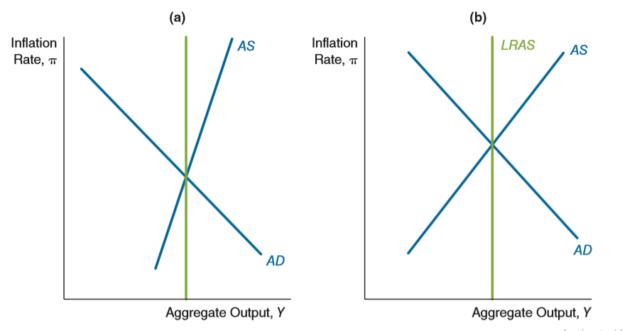 The following panels describe two different short-run aggregate supply curves. In which situation is the case for non-activist policy stronger? Explain why.