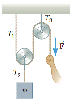 The system shown in Figure P5.43 is used to lift an object of mass m = 76.0 kg. A constant downward force of magnitude F is applied to the loose end of the rope such that the hanging object moves upward at constant speed. Neglecting the masses of the rope and pulleys, find (a) The required value of F,(b) The tensions T1, T2, and T3, and(c) The work done by the applied force in raising the object a distance of 1.80 m.Figure P5.43: