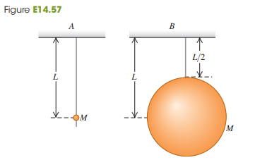 The two pendulums shown in Fig. E14.57 each consist of a uniform solid ball of mass M supported by a rigid massless rod, but the ball for pendulum A is very tiny while the ball for pendulum B is much larger. Find the period of each pendulum for small displacements. Which ball takes longer to complete a swing?
Fig. E14.57: