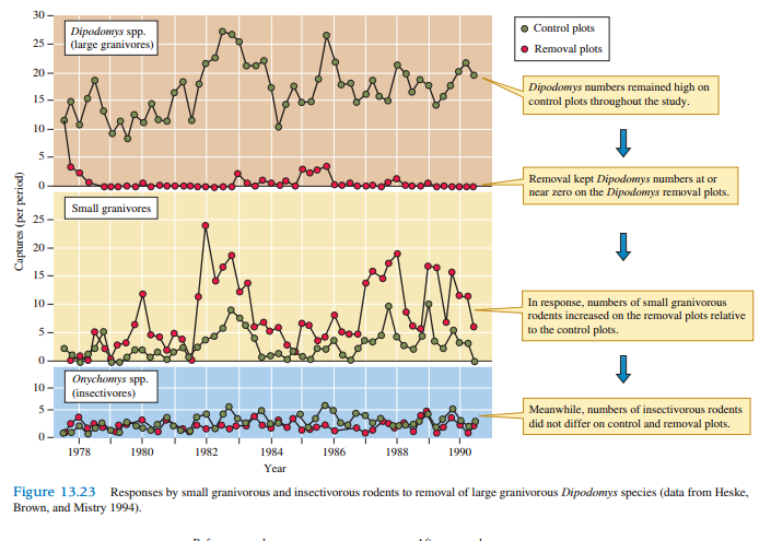 What does the increase in small granivore populations but lack of response by populations of insectivorous rodents suggest about the nature of competition between rodents in Brown’s Arizona study area (see fig. 13.23)?
Figure 13.23: