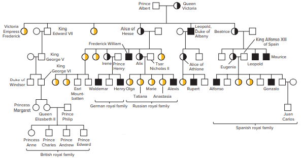 What feature(s) of this pedigree indicate(s) X-linked recessive inheritance?