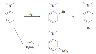 When N,N-dimethylaniline is treated with bromine, ortho and para products are observed. Yet, when N,N-dimethylaniline is treated with a mixture of nitric acid and sulfuric acid, only the meta product is observed. Explain these curious results.